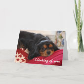 Denken Sie an Sie Cavalier King Charles Spaniel Karte (Vorderseite)