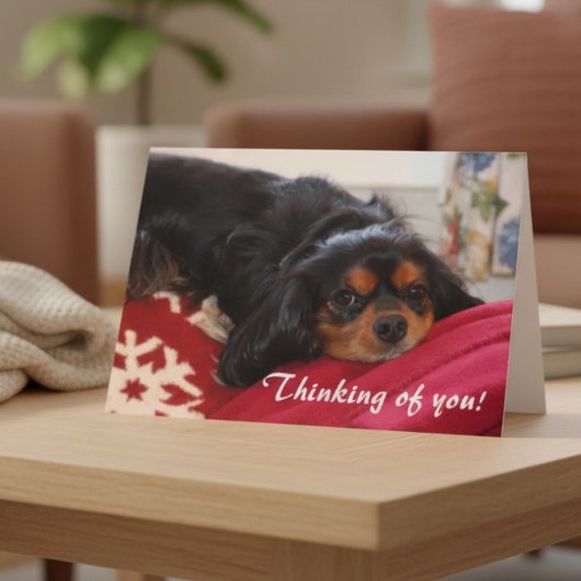 Denken Sie an Sie Cavalier King Charles Spaniel Karte