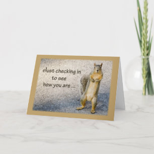 Denken Sie an Sie, Eichhörnchen Karte
