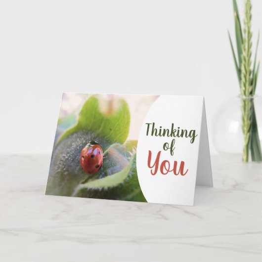 "Denken Sie an Sie" Enthusiastische Ladybug-Karte Karte (Vorderseite)
