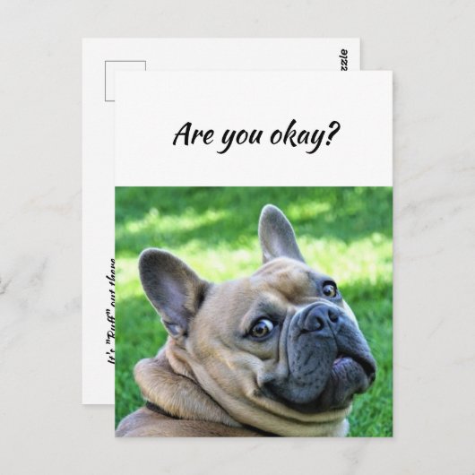 Denken Sie an Sie Funny Dog Gelassen Ich weiß, das Postkarte (Vorne/Hinten)