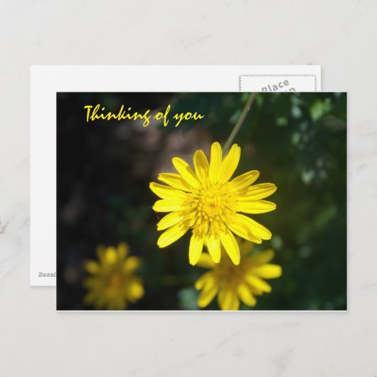 Denken Sie an Sie - Gelber Schwanz Postkarte (Vorne/Hinten)