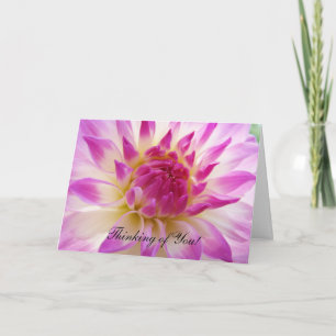 Denken Sie an Sie! Grußkarten Pink White Dahlia Karte
