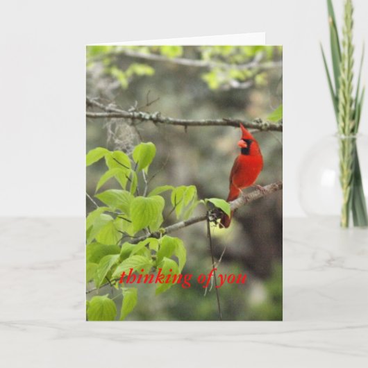 Denken Sie an Sie/Kardinal Karte (Vorderseite)