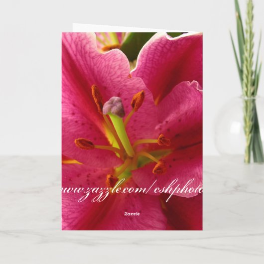 Denken Sie an Sie. Karte (Rückseite)