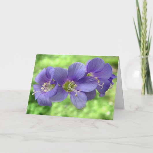 Denken Sie an Sie Karte (Vorderseite)