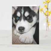 Denken Sie an Sie! Karte (Gelbe Blume)