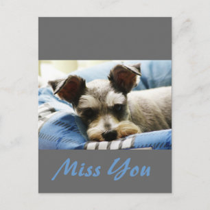Denken Sie an Sie, Mini Schnauzer Postkarte