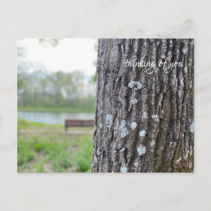 Denken Sie an Sie, Natur, Parkbank Postkarte