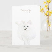 Denken Sie an Sie: niedliche Katze Karte (Gelbe Blume)