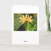 Denken Sie an Sie, oft ermutigend Karte (Rückseite)