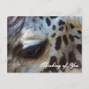 Denken Sie an Sie_ Postcard_by Elenne Boothe Postkarte