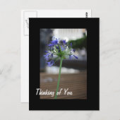 Denken Sie an Sie. Postkarte (Vorne/Hinten)