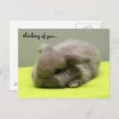 Denken Sie an Sie... Postkarte (Vorne/Hinten)