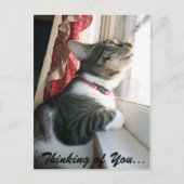 Denken Sie an Sie... Postkarte (Vorderseite)