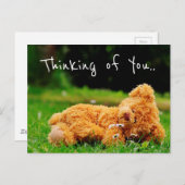 Denken Sie an Sie Postkarte (Vorne/Hinten)