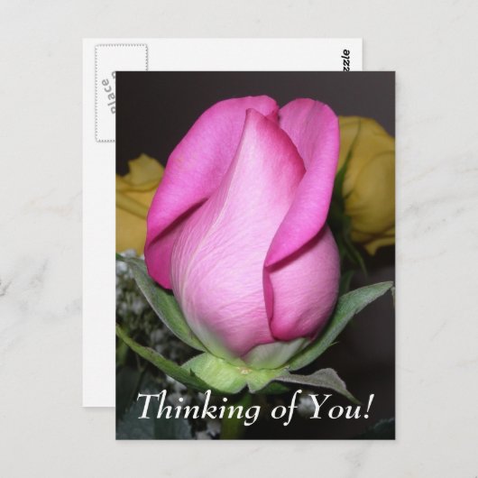 Denken Sie an Sie! Postkarte (Vorne/Hinten)