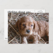 Denken Sie an Sie... Postkarte (Vorne/Hinten)