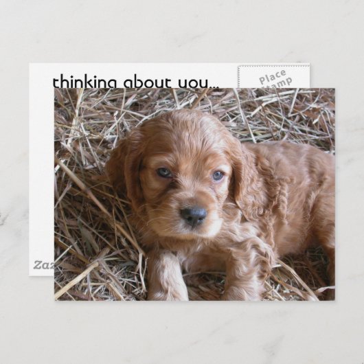 Denken Sie an Sie... Postkarte (Vorne/Hinten)