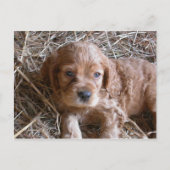 Denken Sie an Sie... Postkarte (Vorderseite)