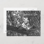 Denken Sie an Sie Postkarte (Vorne/Hinten)