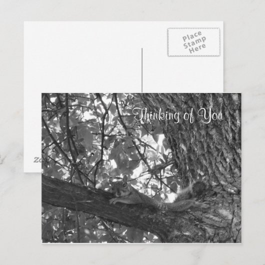 Denken Sie an Sie Postkarte (Vorne/Hinten)