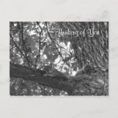 Denken Sie an Sie Postkarte (Vorderseite)