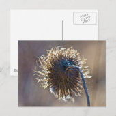 Denken Sie an Sie Postkarte (Vorne/Hinten)