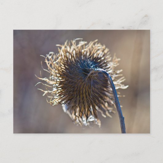 Denken Sie an Sie Postkarte (Vorderseite)