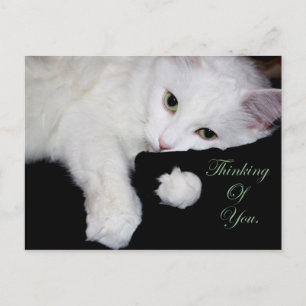 Denken Sie an Sie. Postkarte