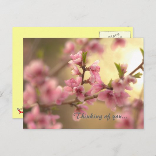 Denken Sie an Sie... Postkarte (Vorne/Hinten)