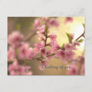 Denken Sie an Sie... Postkarte