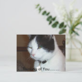 Denken Sie an Sie......... Postkarte (Stehend Vorderseite)