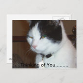 Denken Sie an Sie......... Postkarte (Vorne/Hinten)