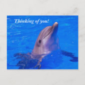 Denken Sie an Sie! Postkarte (Vorderseite)