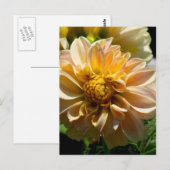 Denken Sie an Sie_ Postkarte (Vorne/Hinten)