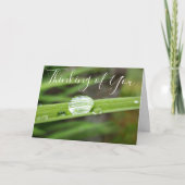 "Denken Sie an Sie" Regentropfen auf der Graskarte Karte (Vorderseite)