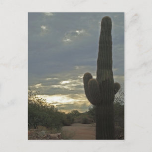 Denken Sie an Sie Saguaro Cactus Foto Peace Postkarte