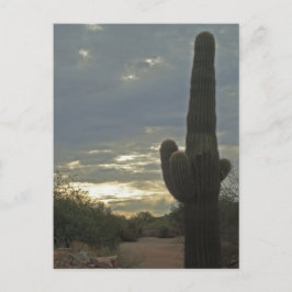 Denken Sie an Sie Saguaro Cactus Foto Peace Postkarte