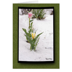 Denken Sie an Sie Schnee gesprenkelte rosa Gelbtul