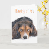 Denken Sie an Sie - Schöner Hund mit Seelenaugen Karte (Gelbe Blume)