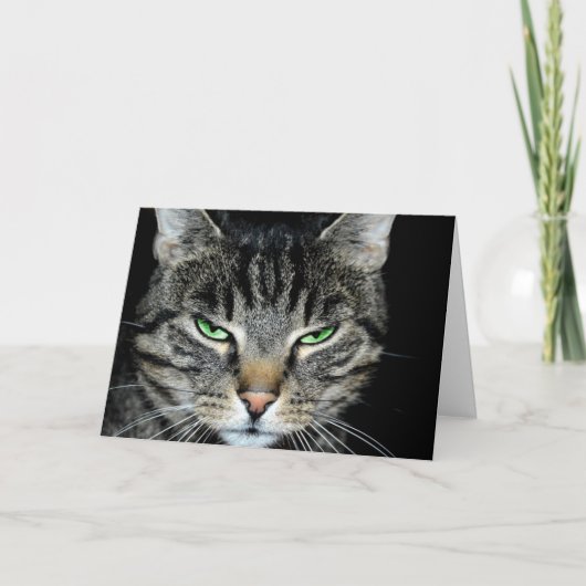 Denken Sie an Sie so weit weg Angry Cat Karte (Vorderseite)