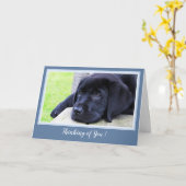 Denken Sie an Sie - Sweet Black Labrador Puppy Karte (Gelbe Blume)