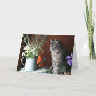 'Denken Sie an Sie', Tabby Cat Card Karte