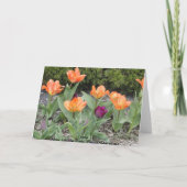 Denken Sie an Sie, Tulips & Hyacinths Karte (Rückseite)