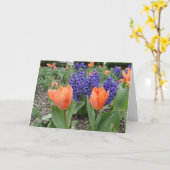 Denken Sie an Sie, Tulips & Hyacinths Karte (Gelbe Blume)