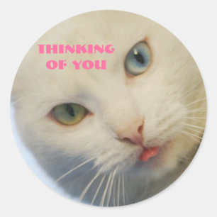 Denken Sie an Sie, weiße Katze, grünes Auge & blau Runder Aufkleber