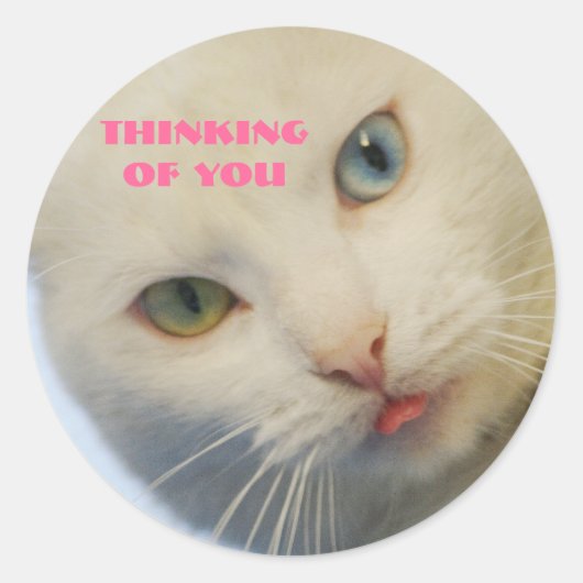 Denken Sie an Sie, weiße Katze, grünes Auge & blau Runder Aufkleber (Vorderseite)
