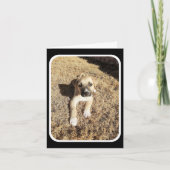 Denken Sie an Sie - Welpensinn Karte (Vorderseite)