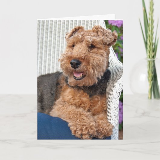 Denken Sie an Sie-Welsh Terrier auf Korbstühlen Karte (Vorderseite)